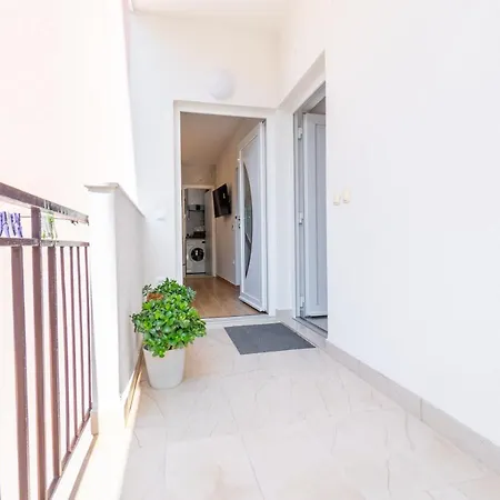 Zora マカルスカ